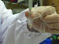 Nanoparticle Mass Spectrometry Separation Technique-English