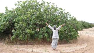 Mouvement de liaison