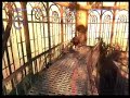 SplitPlaythru: Resident Evil - The Darkside Chronicles Wii (050) Operation Javier, Act 6 - Breaking into Javier's mansion, p2 [Krauser's thoughts]