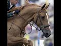 Baloubet Du Rouet