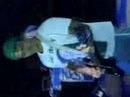 Forfun - Sigo o Som (Guarapari - ES - 12/01/2008)