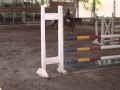 2010-05-25 | Dressage Horse For Sale (Jumping Video) ~> apperance make him a must have in your barn! He currently is schooling all PSG work along with half steps in piaffe and passage. He is perfect for ... ()