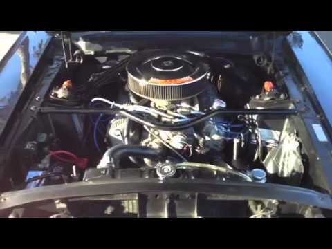 1967 Shelby GT350 for sale