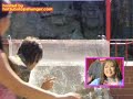 Japanese game show with piranhas! Japanese game show with piranhas!
