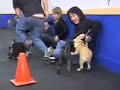 See video