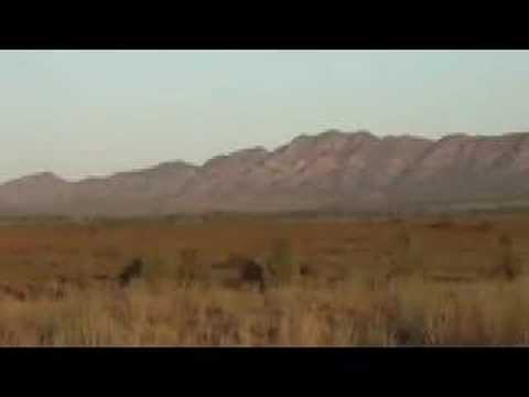 Flinders Ranges