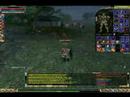TempesTs PvP
