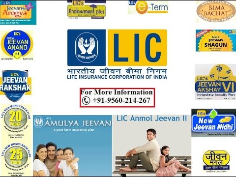 how to login for lic of india