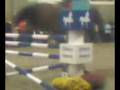videos de Willeke eerste ronde Barrière