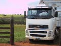 caminhao FH 400 boiadeiro