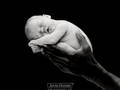 anti-abortion video