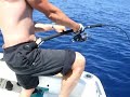 Jigging : Thon rouge au jig Jigging : Thon rouge au jig