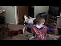 superwoman vs american bulldog