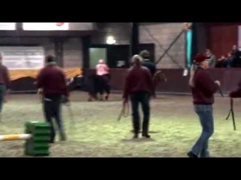 2013 grand national 2013 grand national