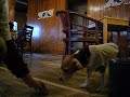 2009_1214マイピクチャ0023.AVI