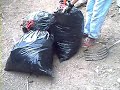 Como hacer Composta, Humus, Compostera o Abono organico