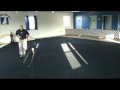 16 1/2 week old Knox working Obedience at Homeland K-9, Mike Loesche, Dogs That Obey , Remote collar