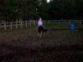 videos de Blue and I practicing Barrels
