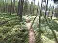 Kronoby Åsen 3