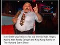 iron sheik yells at fake wrestlers on haward stern