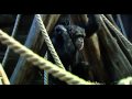 Natural World: The Chimpcam Project (1 of 6)