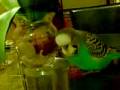 videos de Nemo