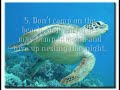 Saving the World: Four Animals at a time