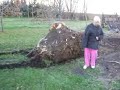 Pulling Out a stump pt2 Pulling Out a stump pt2