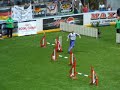 Hamar, Patrick Servais - WC 2007