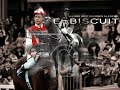 Seabiscuit Seabiscuit