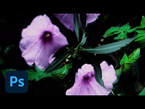 how to reduce camera shake in photoshop cc