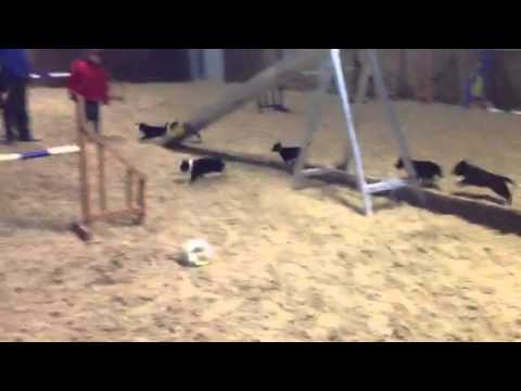 2013 grand national 2013 grand national