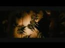 Your Star - Silent Hill Your Star - Silent Hill