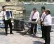 Raiuno Lineablu - AccordeonSudEst - Cetraro - Cosenza