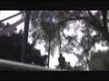 Wakestock highlight reel, July 24-27 2008