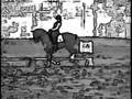 So What-Pink-Equestrian