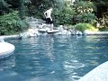 CANNONBALL!!!