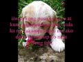 wag ka ng umiyak - sugarfree