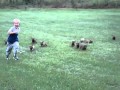 Pack Of Puppies Chase Boy
