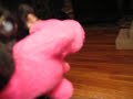 Thumbnail #3