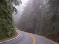 moe. and the Redwoods (Spaz Medicine)