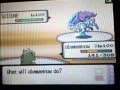 videos de pokemon wifi battle 1: psycho vs. adam