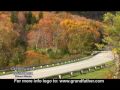 Fall Leaf Colors on Grandfather Mountain