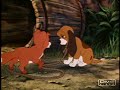 the fox and the hound  friend or foe