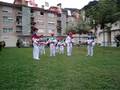 Lizartzako jaiak 2008