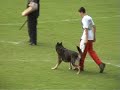  Veit vom Fuchsgraben BSP 2006