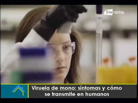 Viruela de mono: Síntomas y cómo se transmite en humanos