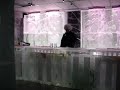 ICE BAR A COPENAGHEN