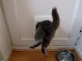 Bilbo squeezing through 002