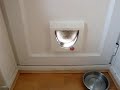 Bilbo squeezing through 002